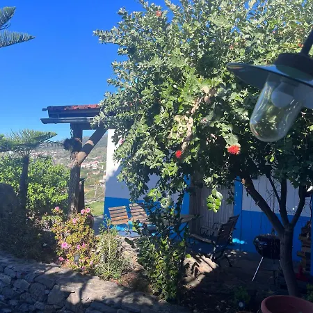 Lucky Lemons - Boutique Madeira - 2 Semesterbostad