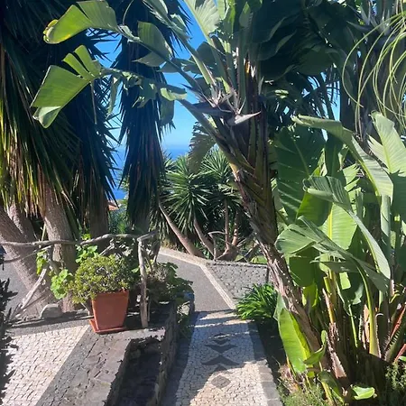 Lucky Lemons - Boutique Madeira - 2 * Estreito da Calheta