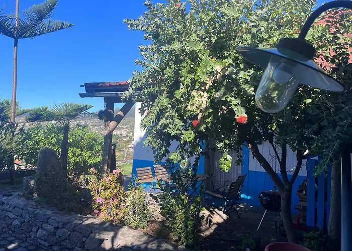 Lucky Lemons - Boutique Madeira - 2 Casa vacanze