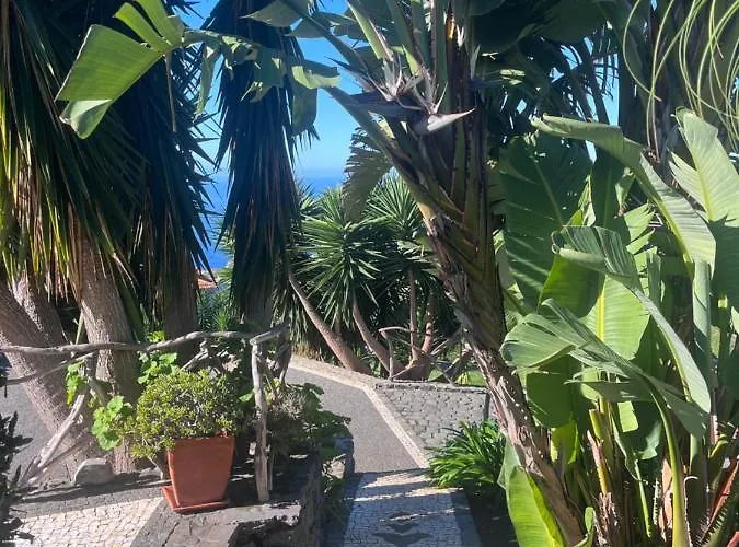 Lucky Lemons - Boutique Madeira - 2 * Estreito Da Calheta