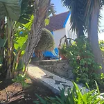 Lucky Lemons - Boutique Madeira - 2 *