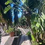 Lucky Lemons - Boutique Madeira - 2 * Estreito Da Calheta