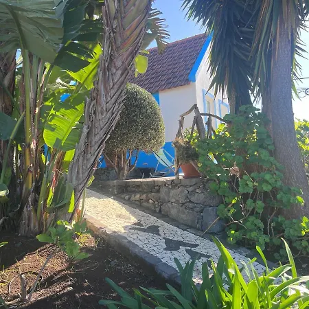 Lucky Lemons - Boutique Madeira - 2 *