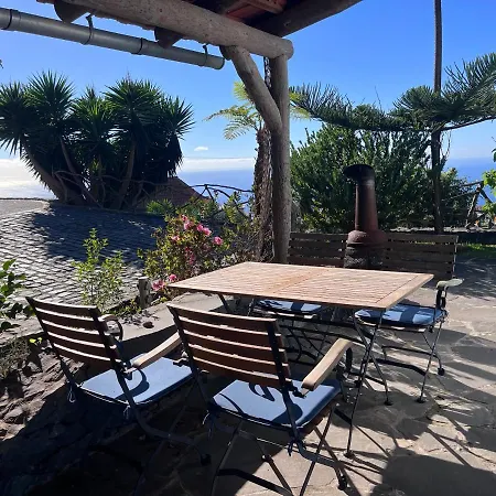 Lucky Lemons - Boutique Madeira - 2