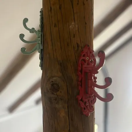 Lucky Lemons - Boutique Madeira - 2