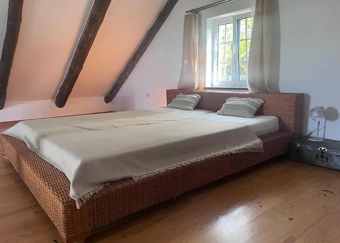 Lucky Lemons - Boutique Madeira - 2 *